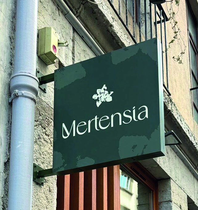 Caisson drapeau d'enseigne sur façade de boutique